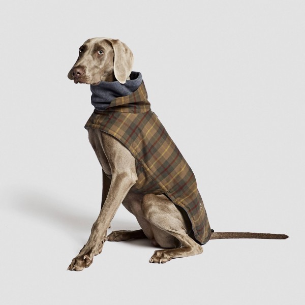 Hundemantel Brooklyn waxed Tartan